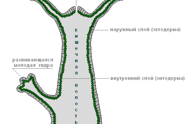 Kraken как найти ссылку