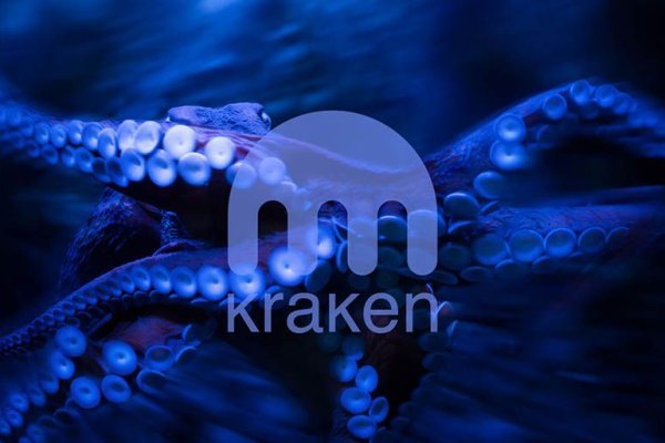 Kraken 20at net