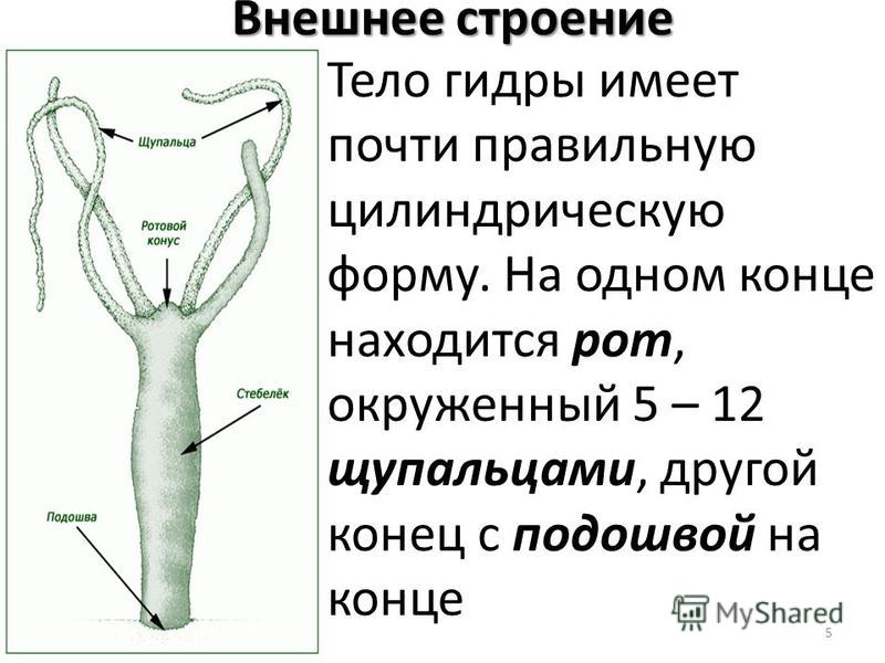 Купить наркотики онлайн